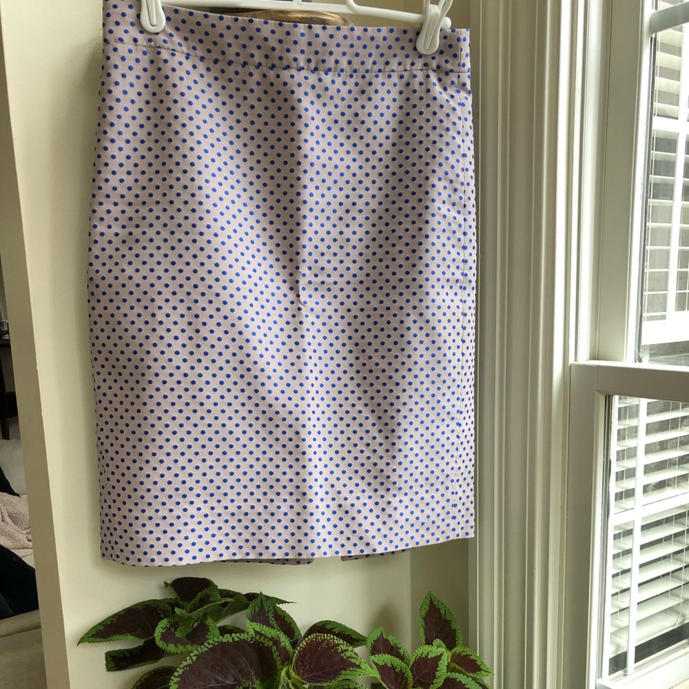 J.Crew Pencil Skirt